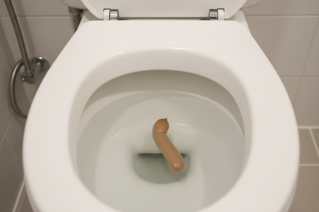 Exemplo educacional de fezes tipo 4 saudável segundo a Escala de Bristol - referência clínica para saúde intestinal