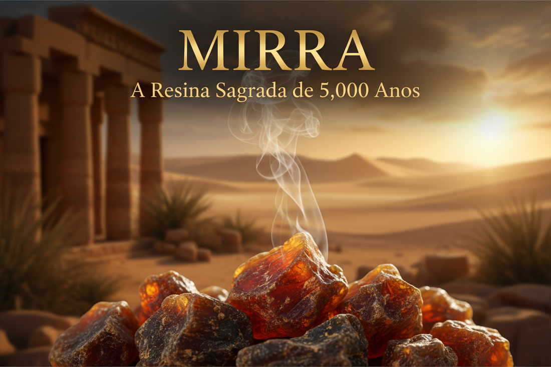 Mirra: O Que É, Para Que Serve, Benefícios Científicos e Como Usar (Guia Completo)