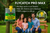 FlyCatch Pro Max - Exterminador Inteligente de Mosquitos