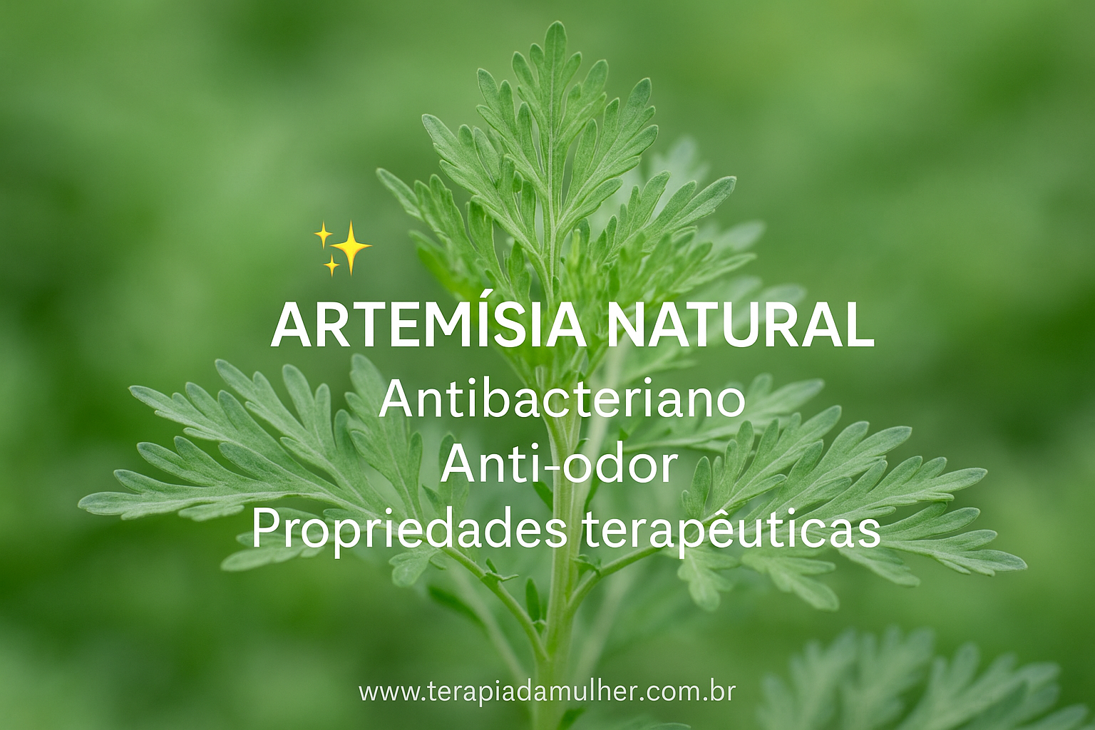 Carrossel Slide 2 - Artemísia Natural